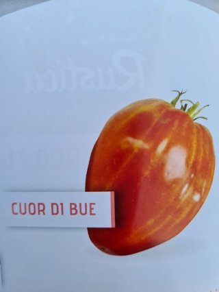 Tomate Greffée Cœur de bœuf 1Lt